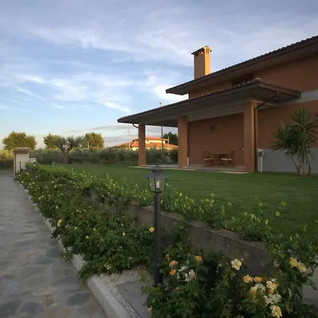 Emilia フォッサチェージア